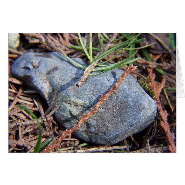 Eléments Natures (Devant horizontal)