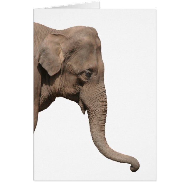 Elephant (Voorkant)