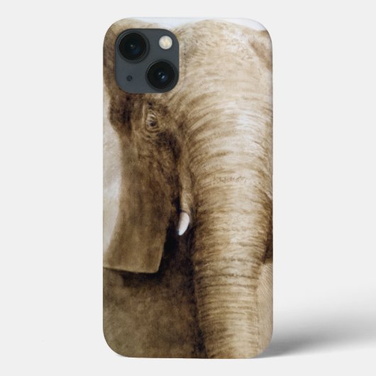 Elephant 2004 Case-Mate iPhone case (Achterkant)