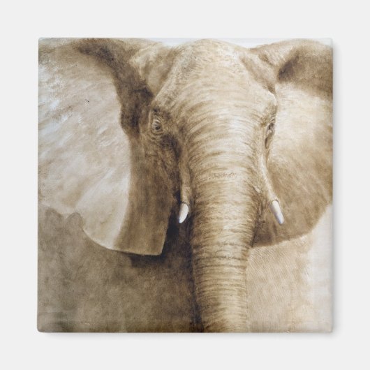 Elephant 2004 magneet (Voorkant)