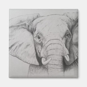 Elephant 2011 magneet