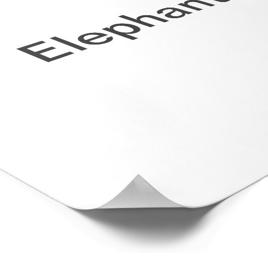 Elephant - affiche (Coin)