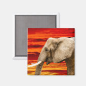 Eléphant africain - Aimant frigorifique (Recto/Verso)