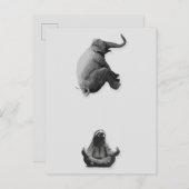 Elephant and Meditating Sloth Harmony Briefkaart (Voorkant / Achterkant)