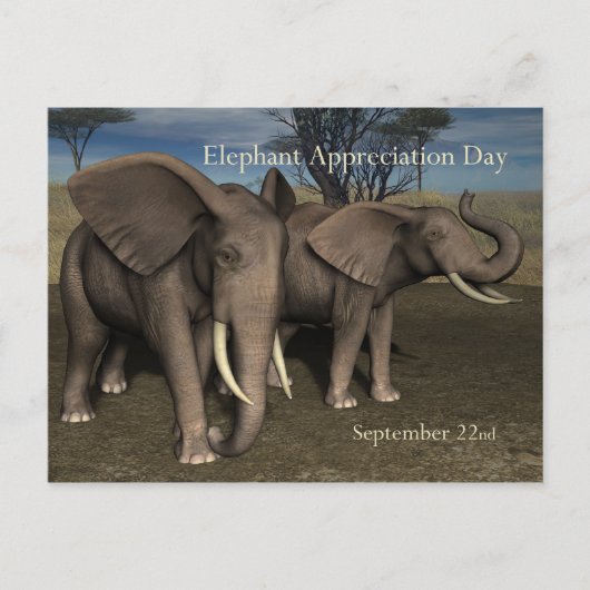 Elephant Appreciation Day Briefkaart 22 september (Voorkant)
