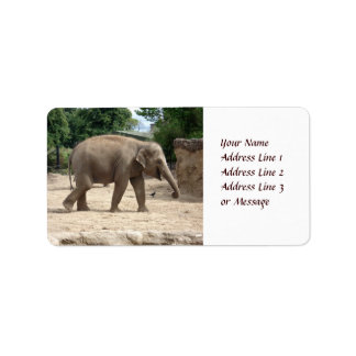 Eléphant Asiatique Marcher Sur Étiquette Adhésif S