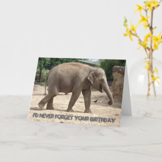 Eléphant Asiatique Marcher Sur Le Sable Carte Anni