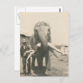 éléphant avec une fille dans la bouche carte posta (Devant / Derrière)