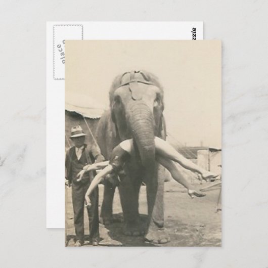 éléphant avec une fille dans la bouche carte posta (Devant / Derrière)