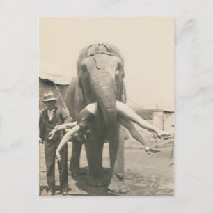 éléphant avec une fille dans la bouche carte posta