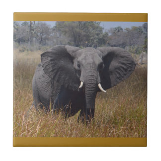 Elephant Aware, Kenya. Carreau en céramique