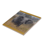 Elephant Aware, Kenya. Carreau en céramique (Côté)