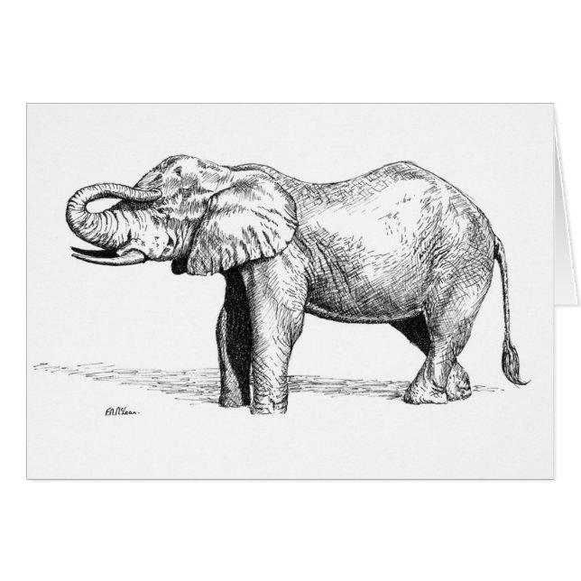Elephant Baby (Voorkant Horizontaal)