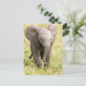 Elephant Baby Briefkaart (Staand voorkant)
