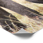 Elephant baby met moederliefde poster (Hoek)