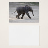 Eléphant bébé doux Kibali (Devant & derrière)