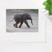 Eléphant bébé doux Kibali (Bureau)