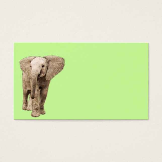 Eléphant Bébé mignon (Devant)
