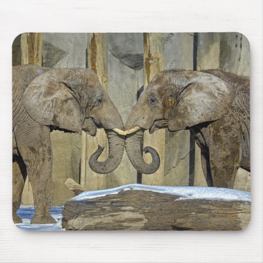 Elephant Best Friends Mousepad Muismat (Voorkant)
