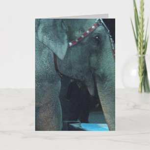 ELEPHANT BIRTHDAY-kaart Kaart