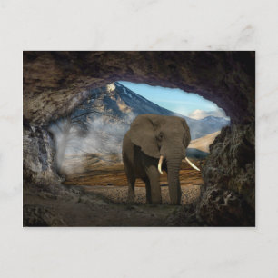 Elephant Briefkaart