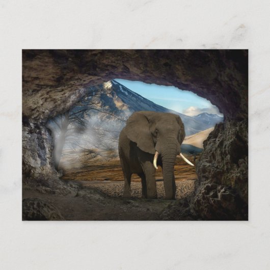 Elephant Briefkaart (Voorkant)