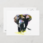Elephant Briefkaart (Voorkant / Achterkant)