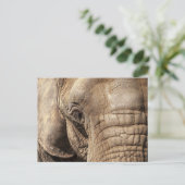 Elephant Briefkaart (Staand voorkant)