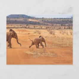 Elephant Briefkaart