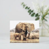Elephant Briefkaart (Staand voorkant)