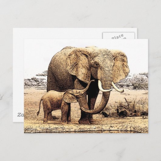 Elephant Briefkaart (Voorkant / Achterkant)