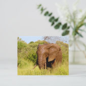 Elephant Briefkaart (Staand voorkant)