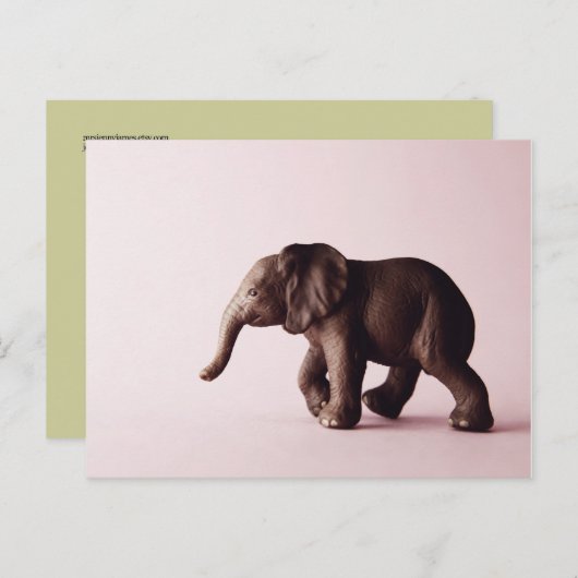 Elephant Briefkaart (Voorkant / Achterkant)