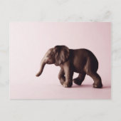 Elephant Briefkaart (Voorkant)