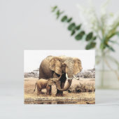 Elephant Briefkaart (Staand voorkant)