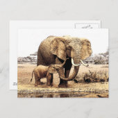 Elephant Briefkaart (Voorkant / Achterkant)