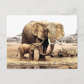 Elephant Briefkaart