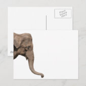 Elephant Briefkaart (Voorkant / Achterkant)