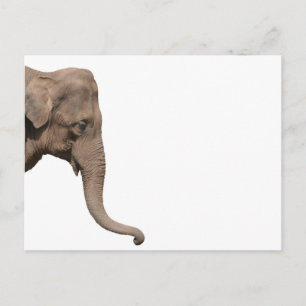 Elephant Briefkaart