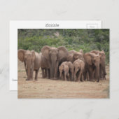 Elephant Briefkaart (Voorkant / Achterkant)