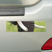Elephant Bumpersticker (Op auto)