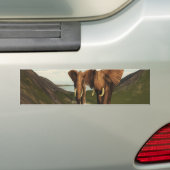 Elephant Bumpersticker (Op auto)