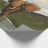 Elephant Cadeaupapier (Hoek)