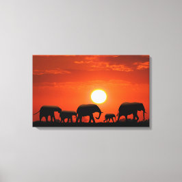 Elephant Canvas Afdruk