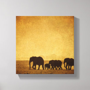 Elephant Canvas Afdruk