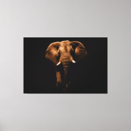Elephant Canvas Afdruk