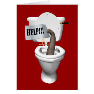 Eléphant Coincé Dans Les Toilettes