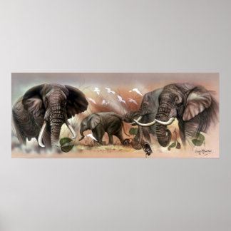 Elephant Collectie Poster