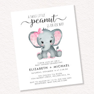 Elephant Couples Baby Girl Shower