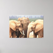 Elephant cuddle Canvas omgeven Afdruk (Voorkant)